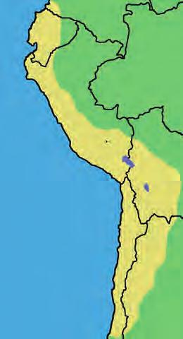 Oblasti jižního Peru, západní Bolívie a severní Argentiny obklopují dva horské hřebeny, které tak vytvářejí protáhlou náhorní plošinu zvanou Altiplano.