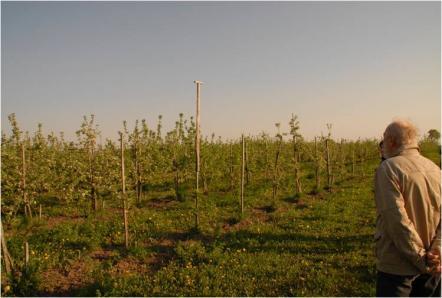 Biodiverzita sadů 2009 Nejvýznamnější rozdíly mezi sady: ekologické s. parametr Slaný Vinice St. Hrozenkov Zádveřice Doba v bio režimu (= doba od posledního zásahu chem. insekt.