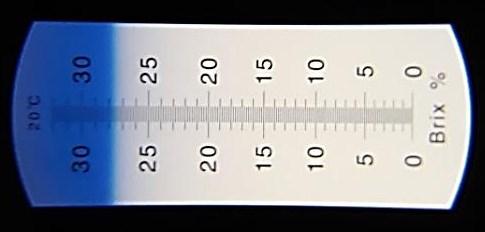 Měření mleziva digitálním refraktometrem MISCO: 1.