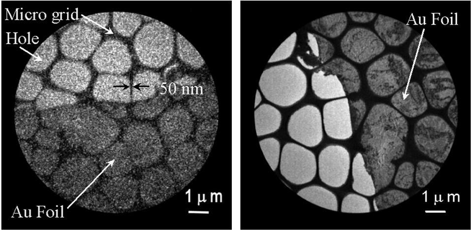 transmisní pozitronový mikroskop 1 nm Au (1) fólie na mikro