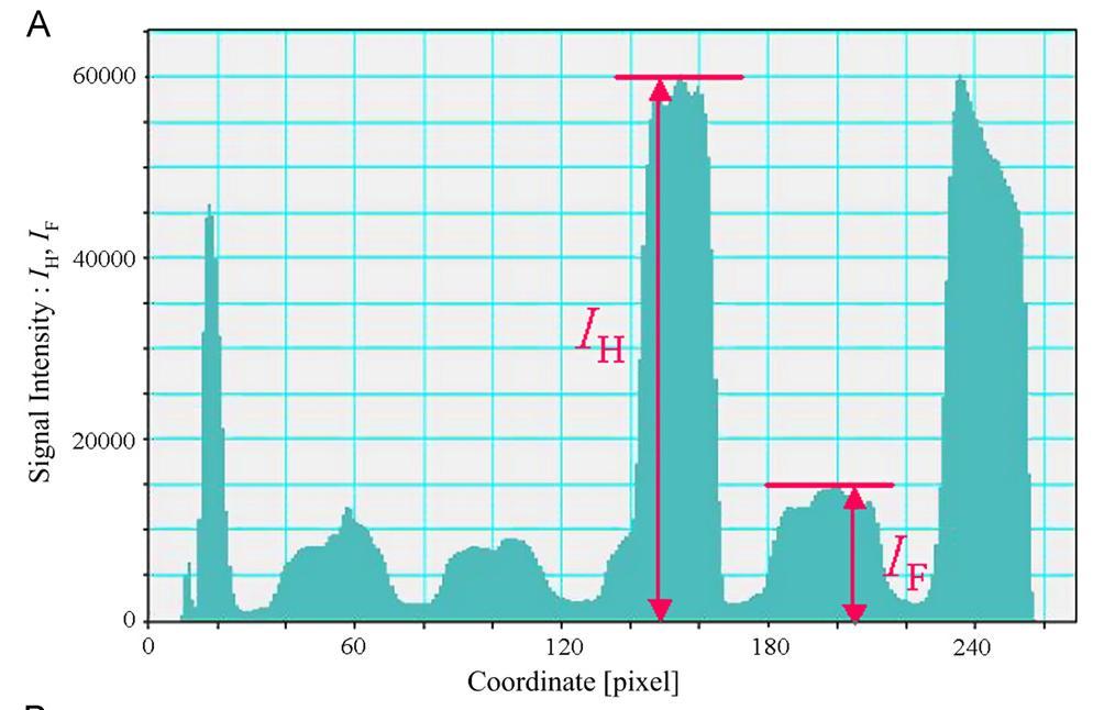 transmisní pozitronový mikroskop 35 nm Al