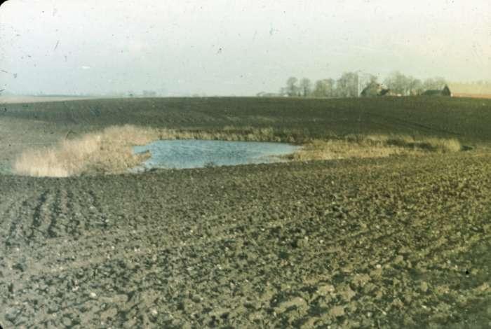 Termokrasová sníženina