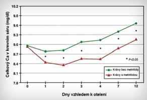 Studie také zaznamenaly narušení imunitní funkce v důsledku snížení koncentrace neutrofilů v krvi dojnic s nízkými koncentracemi vápníku v krvi.