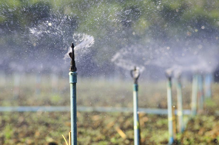 GLOBALG.A.P. Modul CB CB 5.2 Řízení závlah Existuje písemná analýza rizik, která identifikuje environmentální dopady použití vodních zdrojů, závlahového systému a mytí plodin.