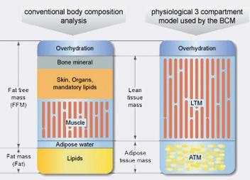 10.2. Parametry měřené pomocí Body Composition Monitor Body Composition Monitor umoţňuje detekci nadměrné hydratace stanovením kvantitativního mnoţství přebytečné tekutiny v těle.