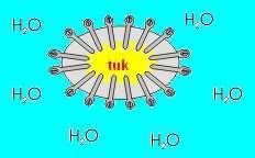 Žluč žlučové kyseliny cholesterol EMULGACE tuků fosfolipidy