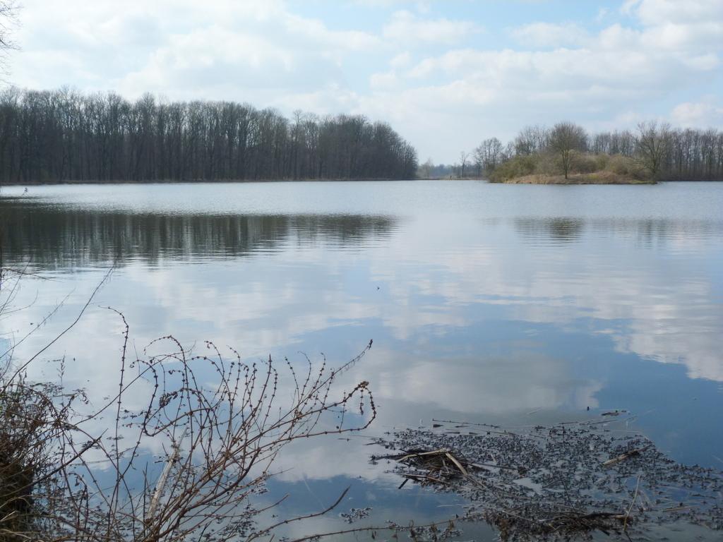 Na obrázku je vidět rybník Kozák s plovoucími plody kotvice plovoucí vpravo dole. provoněl nám část cesty.