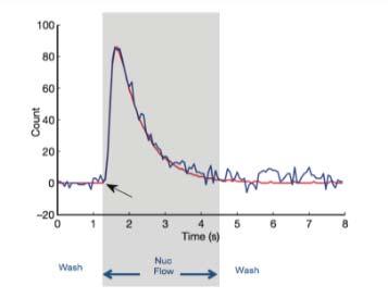 Rothberg J.M. et al Nature doi:10.