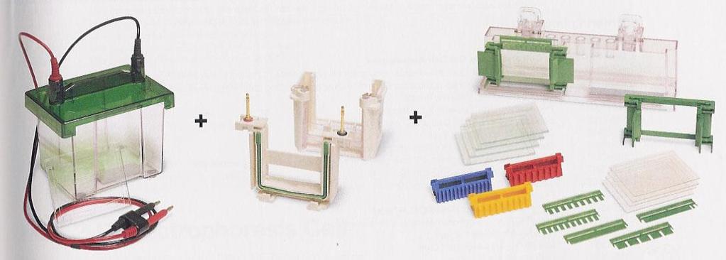 Polyakrylamidová elektroforéza (PAGE)