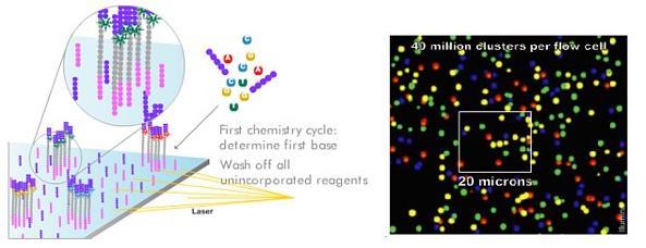 Next generation sequencing