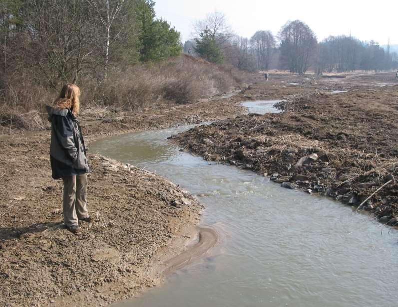 Revitalizace Boreckého