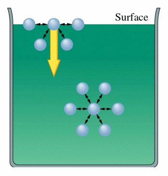 Povrchové napětí Molekuly na povrchu kapaliny interagují jen s jinými molekulami uvnitř kapaliny, nerovnoměrné rozložení sil