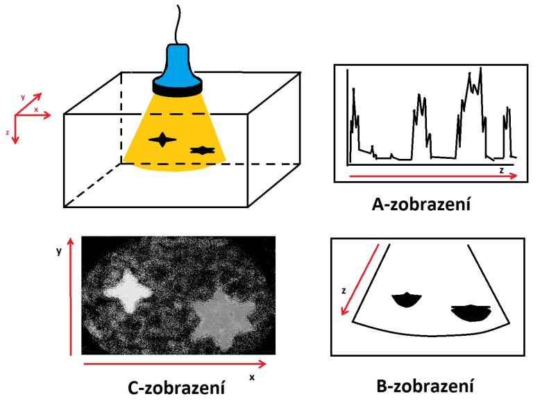 Obr. 9 Metody zobrazení ultrazvukových signálů 5.5 F zobrazení Je to C-zobrazení, kde je místo amplitudy zobrazena vybraná veličina ultrazvukového signálu (např. amplitudové nebo frekvenční spektrum).