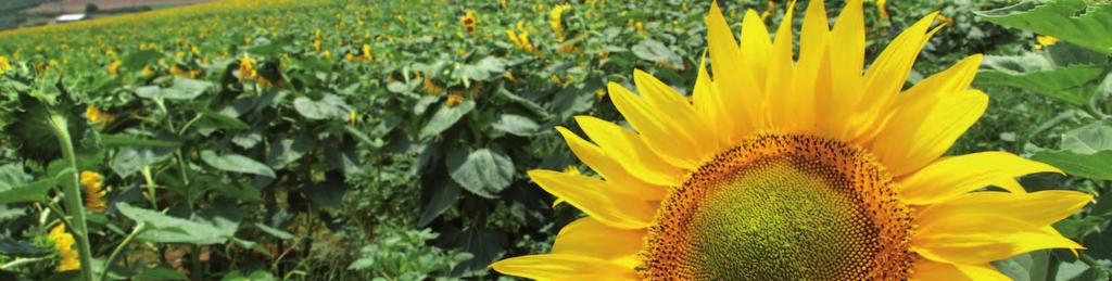 Platby v oblastech Natura 2000 na zemědělské půdě Žádosti o poskytnutí plateb Natura 2000 na zemědělské půdě pro rok 2016 jsou vypláceny na základě nařízení vlády ČR č.