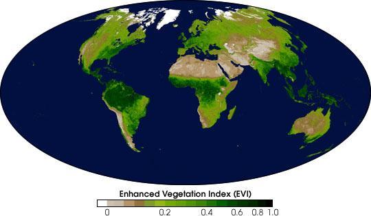 Konkrétní identifikace druhu vegetace ze snímků DPZ závisí na jejich vlastnostech.