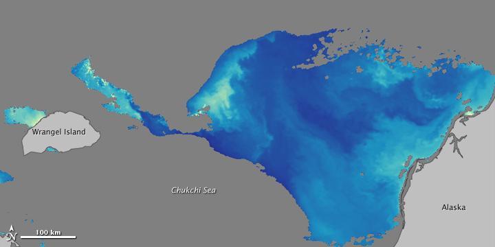 131) zobrazuje na horním snímku v přirozených barvách oblast Čukotského moře.