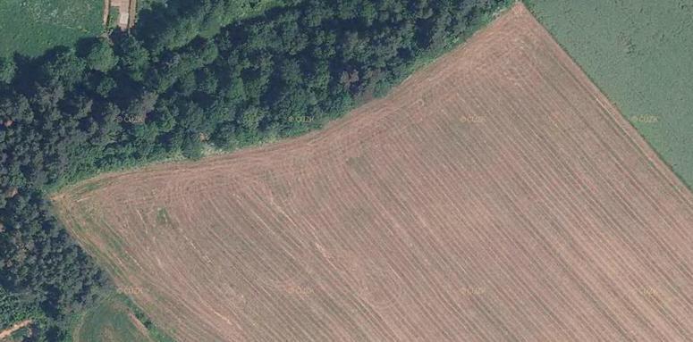 Obr. 23: Detail leteckého snímku na okraji pole lze rozeznat oblouky po otáčení traktoru i jednotlivé brázdy. Zdroj: http://geoportal.gov.