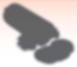 Váhala 14, 1 kg =