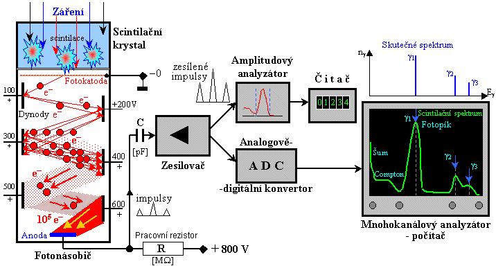 Scintilační detektor Elektrony uvolněné γ zářením nebo elektrony β záření excitují elektrony z obalu atomu scintilátoru Zpětný proces (de-excitace) doprovázen vyzářením fotonu ve viditelné oblasti