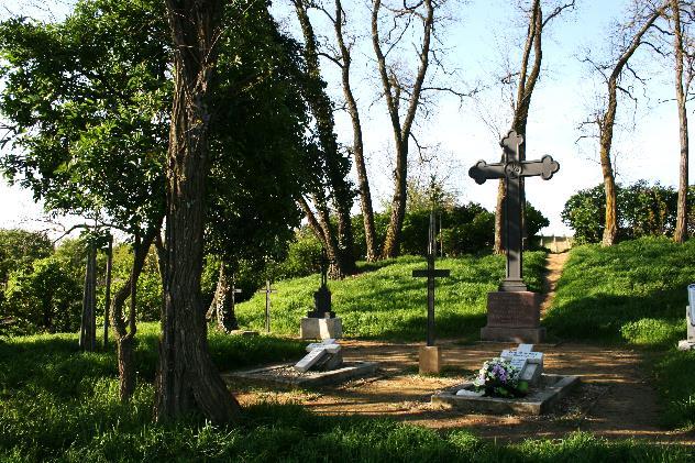 Mimo vojáky pruské armády podlehlo choleře přibližně i 500 občanů Mikulova. Po roce 1945 prostor spadá do pohraniční zóny a pomalu tak došlo k chátrání hřbitova až téměř k jeho úplné devastaci.