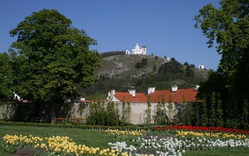 Komponovaná krajina Mikulovsko-Falkensteinska Krajinou Mikulovsko-Falkensteinska rozumíme oblast rozkládající se jižním směrem od města Mikulova až ke vzdálené dominantě hradu Faleknsteinu.