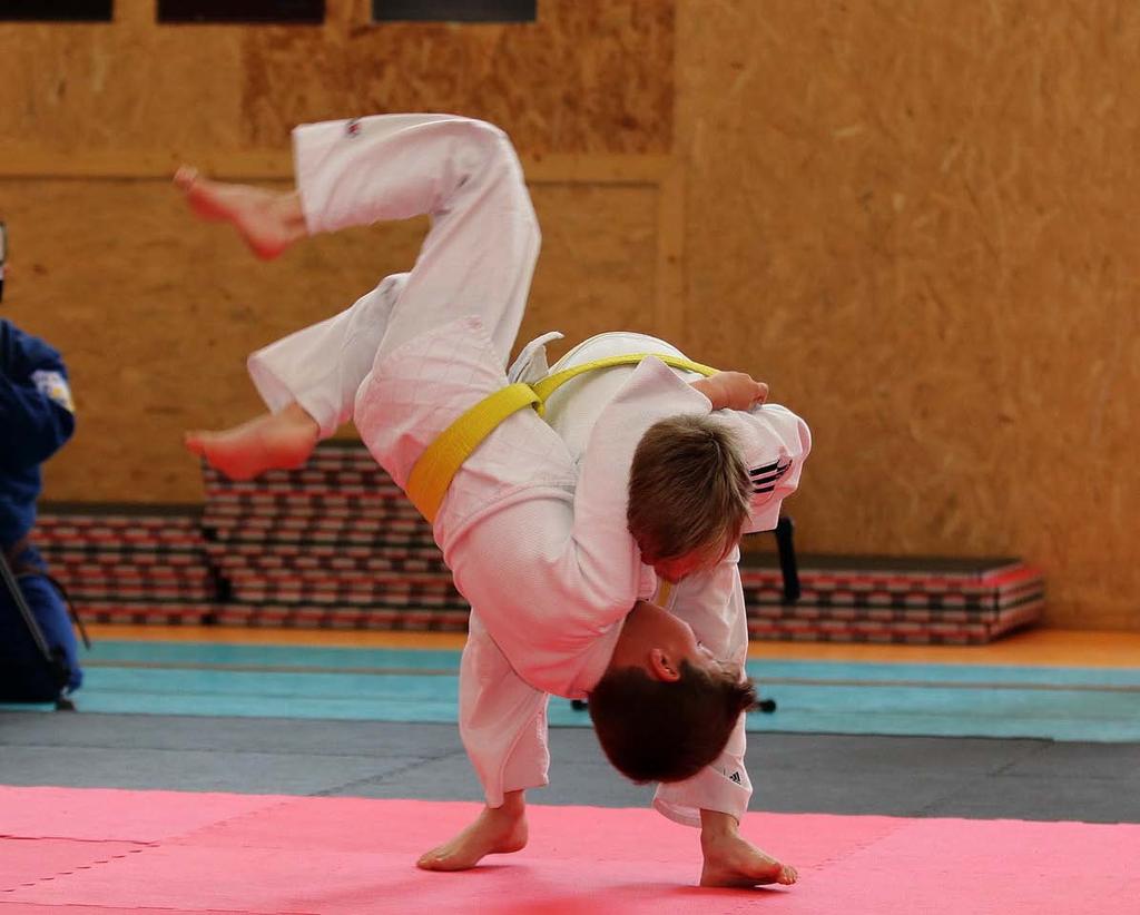 BOJOVÉ SPORTY - UMĚNÍ www.judo4fun.cz JUDO4FUN, z. s. Oddíl JUDO4FUN, z. s., byl založen před 5 lety, s cílem nezaměřovat se na závodění a vychovávání vrcholových sportovců.