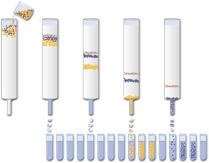 Liquid Chromatography (LC) Sample containing proteins or