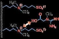 HILIC hydrophilic interaction liquid chromatography (chromatografie hydrofilních interakcí) Dělí analyty na základě jejich schopnosti polárních interakcí Stacionární fáze polární, retenční čas roste