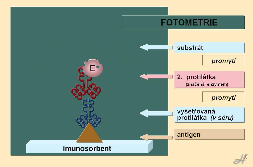 Imunochemická detekce