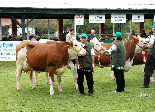 Účel hodnocení zevnějšku Porovnání zvířat