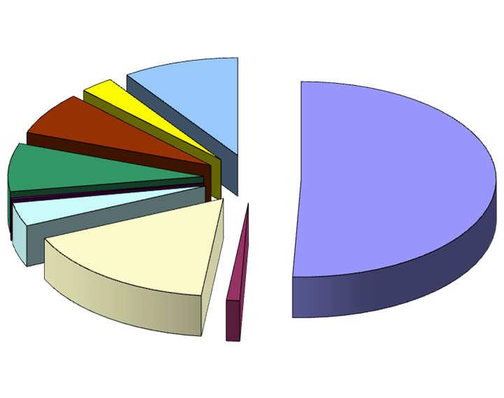 Přirozená druhová skladba Druhová skladba v roce 2014 ostatní listnáče 6% Smrk 11% dub ; 7.1 bříza; 2.8 ostatní listnaté; 9,6 Buk 41% Jedle 20% Borovice 3% buk ; 8 ostatní jehličnaté; 0.