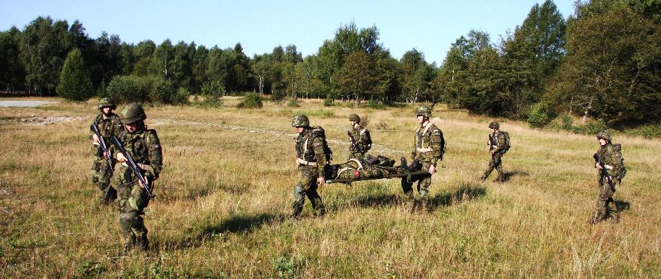 Růžička a kol.: Analýza výcviku 3. ročníků FVZ v poli Výše uvedené vyučovací předměty jsou přednášeny v průběhu zimního a letního semestru.