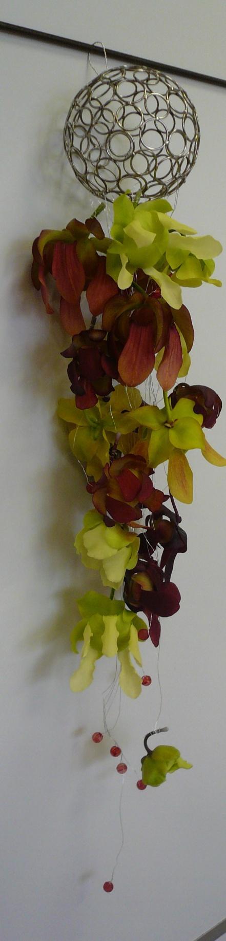 Sarracenia (Svatební