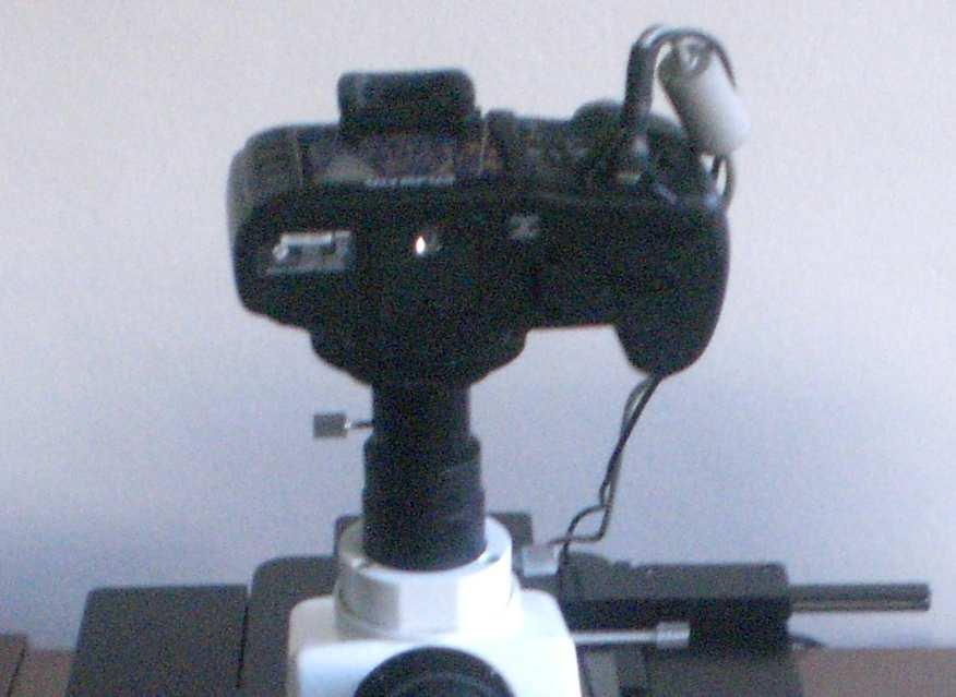 5 Mikroskop 2303 Intraco micro 5.