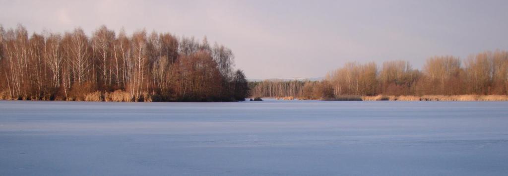 Chomoutovské jezero u Olomouce revitalizace versus samovolný vývoj Vlastimil Kostkan, Martin