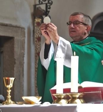 O Květné neděli při bohoslužbách posvětím ratolesti, které jsou připomínkou oslavy Krista krále, který za nadšení lidu jde do Jeruzaléma - vstříc své potupné smrti na kříži.