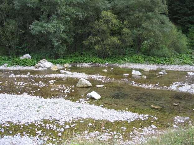 glaciální periglaciální boreální přímořská teplá humidní mírná