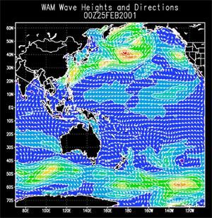 The WAM model provides global to regional scale spectral wind-generated wave prediction.