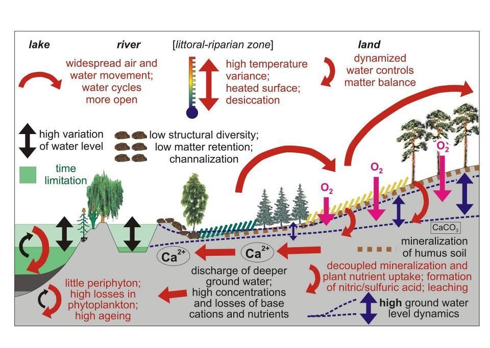 vodní prostředí otevřený koloběh vody (pobřežní zóna) vysoké rozdíly teplot; půda se přehřívá a vysychá suchozemské prostředí zrychlený odtok vody a látek velké kolísaní hladiny vody malá diverzita