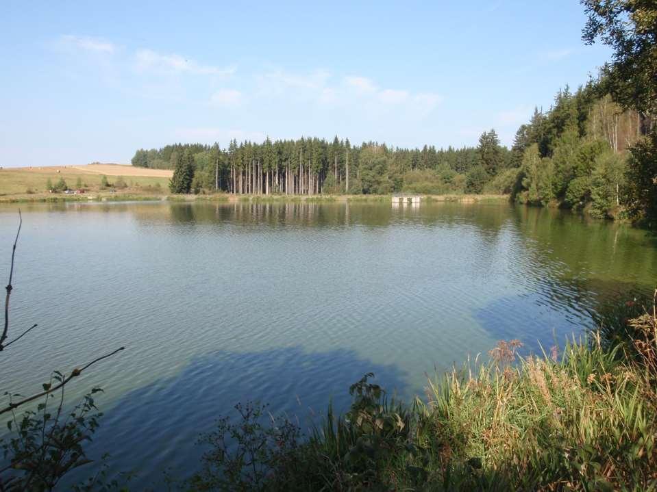 KOUZLO PRVNÍHO HORKA 1. rok: obsádka dafnií řas průhlednost rozvoj submerzní vegetace,... 2.