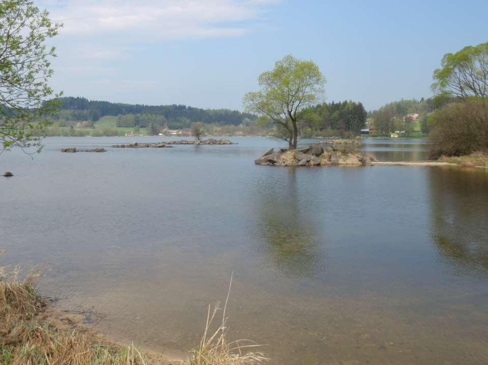 RYBNÍKY a WFD 19 největších jsou samostatnými vodními útvary (12 leží v povodí Vltavy) rybí obsádka složením i hustotou nepřirozená krmení, hnojení, výlovy, invazní druhy METODIKA PRO HODNOCENÍ EP