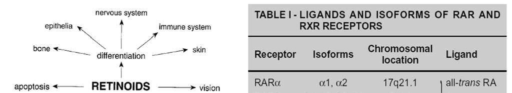Retinoidy