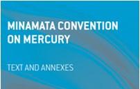 Framework - Minamata Convention on Mercury It is an international agreement with the aim of protecting human health and environmental from the adverse impact of Mercury.