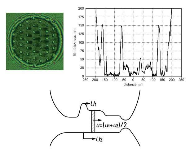 (2008): Effect of surface texturing on mixed lubricated