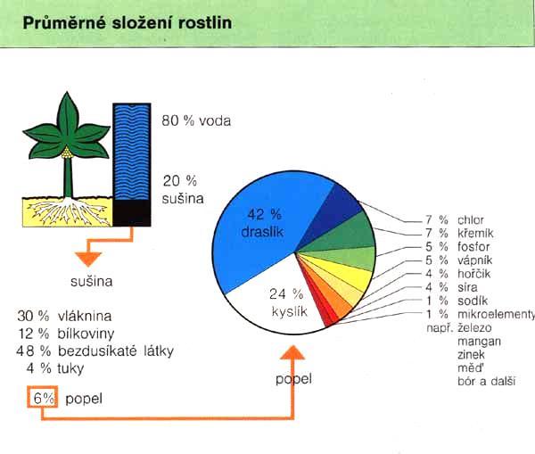 Obsah živin a energie závisí na: vývojové fázi rostlin při sklizni obsahu živin v půdě způsobu ošetřování a hnojení klimatických