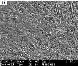 Leptáno (leptadlo Marble), zvětšení 1000x. Snímky struktury materiálu EOS Nástrojové oceli MS1 Obr. 5.47 a 5.