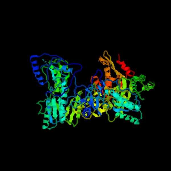 kyselina) do DNA (deoxyribonukleová kyselina). Při přepisu genetické informace je obvyklý opačný proces tzv. transkripce, což je přepis z DNA do RNA.