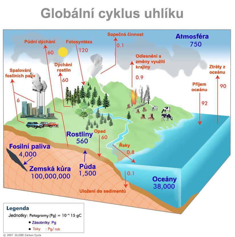 Obr. 3 Globální cyklus uhlíku (Meteocentrum.cz 2013). Obr.