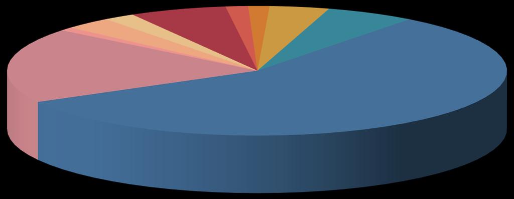 Přehled o nákladech v roce 2016 Zákonné sociální náklady 1% Zákonné pojištění 19% Ostatní náklady 3% Odpisy majetku 2% Všeobecný materiál Energie 6% 1% Opravy a udržování 1% Cestovné 4%