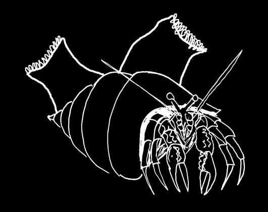 30 korýši (Crustacea): rakovci (Malacostraca) desetinožci (Decapoda) Makroskopicky.